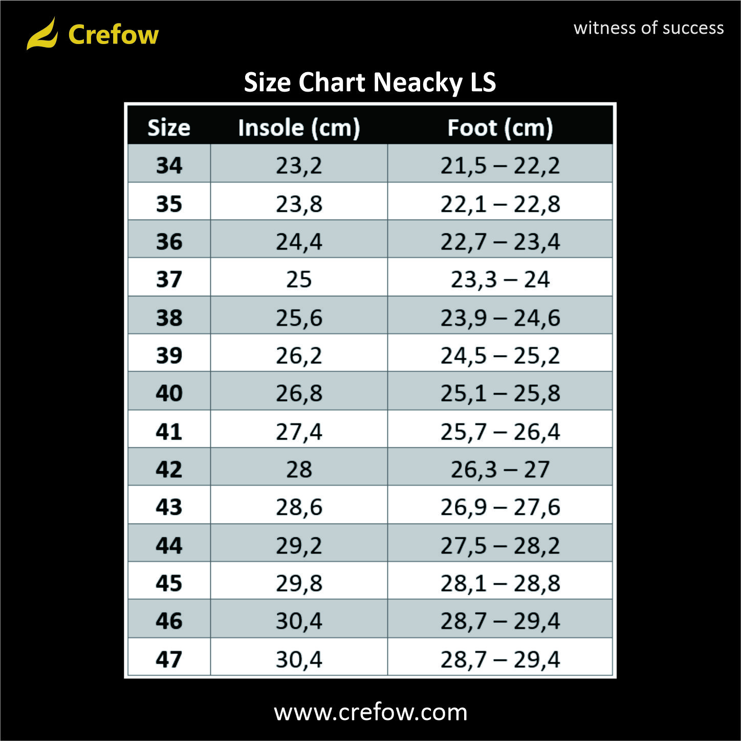 Crefow Neacky Navy White Canvas Sneakers